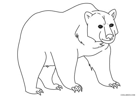 brown bear coloring pages printable      learn