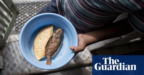 Jamaica S Rare Wildlife In Pictures Environment The Guardian