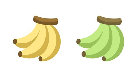 simple cute ripe  unripe banana icon set fruit flat vector