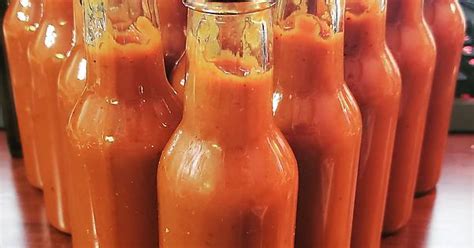 welcome to my fermented hot sauce hobby album on imgur