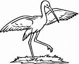 Stork Drawing Clipart Coloring Pages sketch template