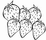 Frutas Morango Pintar Fruta Folhas Vermelho Pode Forte sketch template