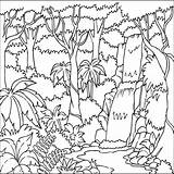 Rainforest Coloring Pages Tropical Color Jungle Getcolorings Printable Getdrawings Colorings sketch template