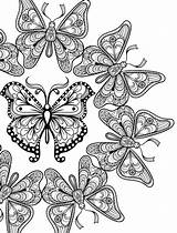 Coloring Insect 昆虫 塗り絵 無料 Nerdymamma sketch template