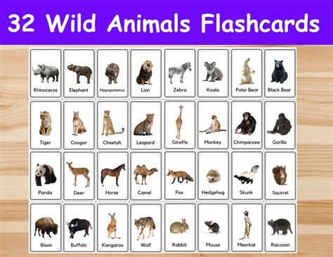 wild animals flashcards image cards  kids etsy