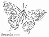 Butterfly Favecrafts Marvelous Jeweled Sunshine sketch template