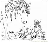 Horse Coloring Pages Printable Animals Print Colouring sketch template