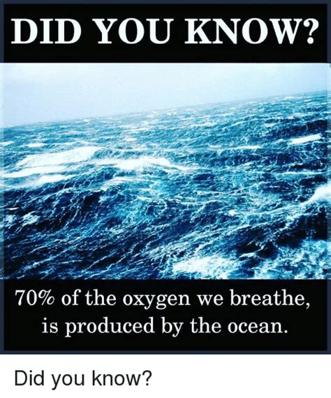 25 Best Memes About Oxygen Oxygen Memes