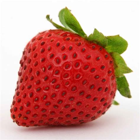 wieso sind erdbeeren nuesse