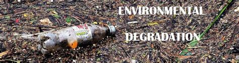 environmental degradation      effects