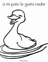 Pato Gusta Le Nadar Coloring Mi Cursive Favorites Login Add Twistynoodle Duck sketch template