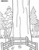 Coloring National Sequoia Pages Parks Doodle Park Kids Alley Printable August Colouring Printables Drawings California Sequia Tree Sheets Designlooter sketch template