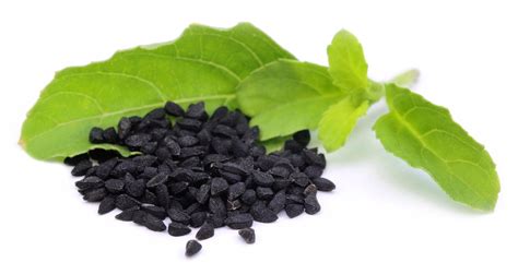 Top 7 Benefits Of Black Seed Oil Supplement Inlifehealthcare