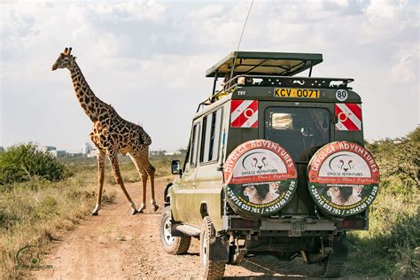 nairobi national park entrance fee  attractions divulge adventures