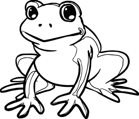 frog coloring page  wecoloringpagecom coloring pages frog