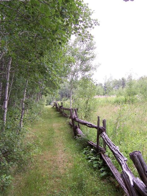 madawaska me madawaska old fence photo picture image maine at city