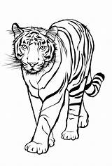 Ausmalbilder Ausmalen Ausdrucken Malvorlagen Tigers Jaguar Kostenlos Pages Drucken Vorlage Kinderbilder Geometrische Tieren Ganzes Schablonen sketch template