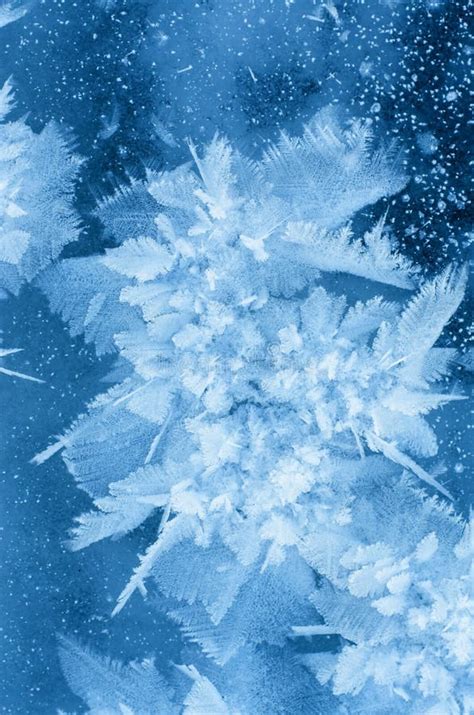 ice flower stock photo image  transparent window cool