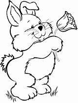 Coloring Pages Clip Clipart Easter Bunny Clipground Clipartfest sketch template