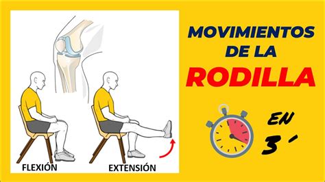 Movimientos De La Rodilla Flexion Y Extensión Fácil Femorotibial