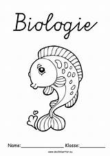 Deckblatt Biologie Fisch Schule Fische Grundschule Zum Deckblaetter Arbeitsblatt Erdkunde sketch template