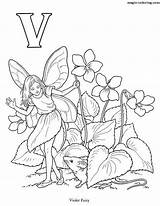 Coloring Fairy Flower Alphabet Letters Pages Magic Fairies sketch template
