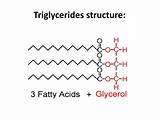 Triglycerides Structure sketch template