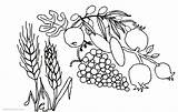 Shavuot Coloring Pages Getcolorings Foods Printable sketch template