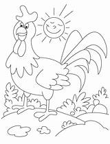 Coloring Rooster Pages Farm Animals Funny Animal Kids Clipart Book Printable Getcolorings Library Popular Color sketch template