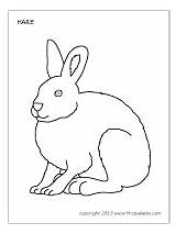 Hare Arctic Coloring Drawing Rabbit 62kb 200px Open sketch template