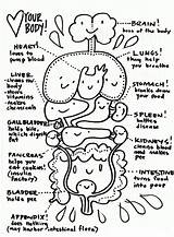 Digestive System sketch template