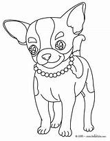 Chihuahua Coloring Pages Dog Color Print Hellokids Colouring Puppy Para Tiny Printable Kids sketch template