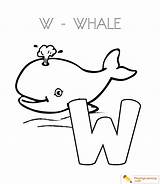 Whale Coloring Alphabet Letter Pages Sheet Through sketch template