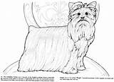 Dogs Cleverpedia Coloring sketch template