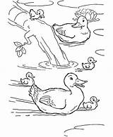 Pond Coloring Duck Swimming Baby Animal Ducks Pages Farm Drawing Color Animals Drawings Kids Sheets Print Printable Netart Getdrawings sketch template