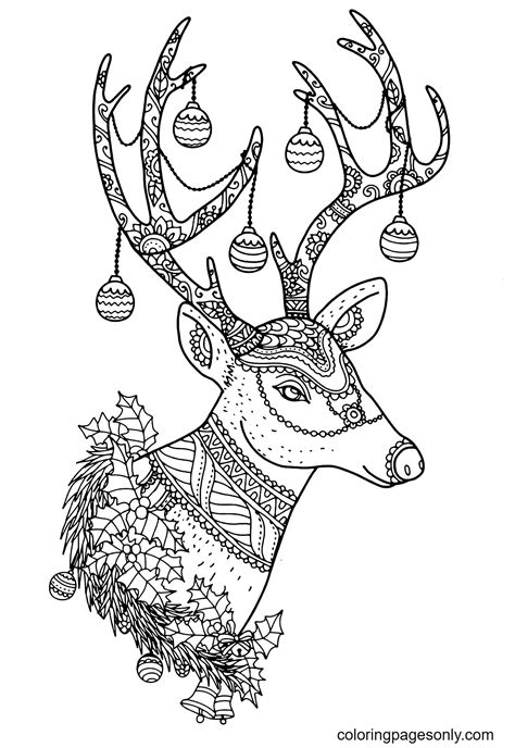 christmas  reindeer coloring pages reindeer coloring pages