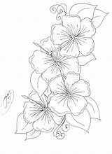 Orchid Coloring Pages Color Printable Flowers Getcolorings sketch template