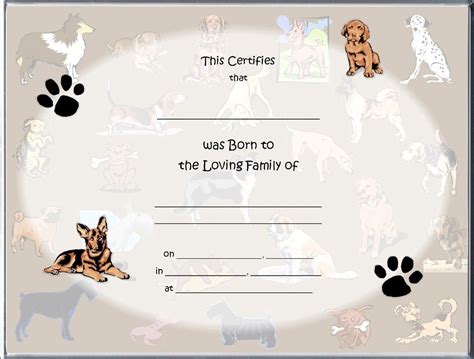 puppy birth certificate template dog birth birth certificate