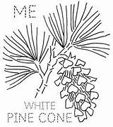 Pine Cone Maine Embroidery Patterns Floral Turkey Tassel Pinecone Flower Coloring State Feathers Designs Quilt Pattern Drawing Motif Quilting Hand sketch template