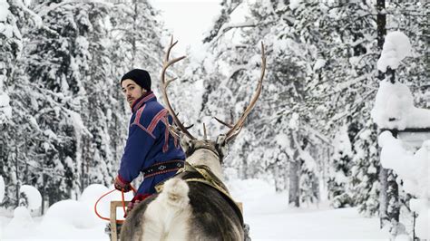 we have extremely sad news about sweden s reindeer