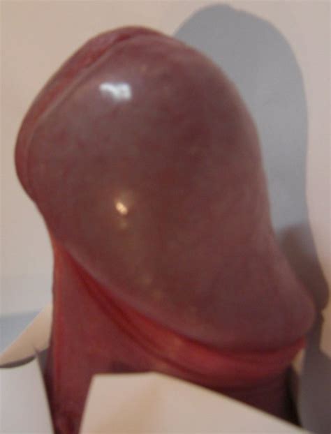 head a uncut uncircumcised cock head glans tip close up image uploaded by user bestpiece at