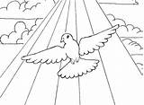Peace Coloring Dove Pages Getdrawings Getcolorings Printable sketch template