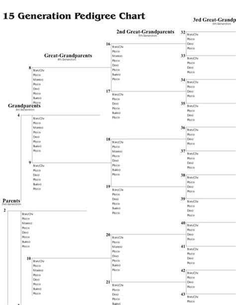 generation pedigree chart template hq printable documents