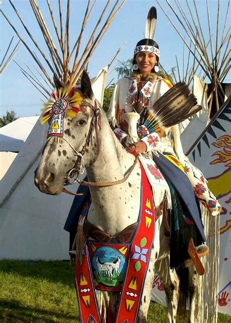 beautiful native american horses native american indians native