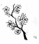 Blossom Cherry Tree Drawing Outline Pencil Tattoo Branch Drawings Paintingvalley Getdrawings sketch template