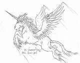 Alicorn Coloring Favourites Sketch sketch template