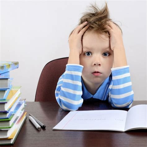 principals reflections stop  homework insanity   kids  kids