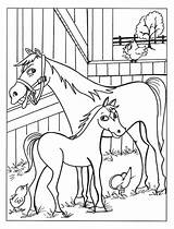 Horse Paarden Paard Pferde Ausmalbilder Veulen Dieren Malvorlagen Pferd Equine Coloriages Printen Stall Animierte Colorir Ausmalen Malvorlage Colouring Animaatjes Topkleurplaat sketch template