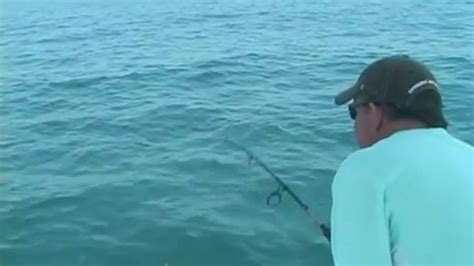dumpertnl vis helpt visser een beetje
