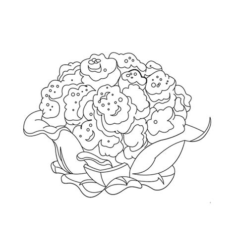 cauliflower coloring pages httpsiftttzjwrv
